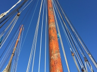 Ijsselmeer-Segelfahrt der Erwachsenen 2016 